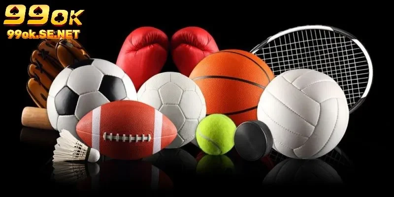 Nhà cái mang đến cho người chơi đa dạng bộ môn cá cược thể thao sôi động